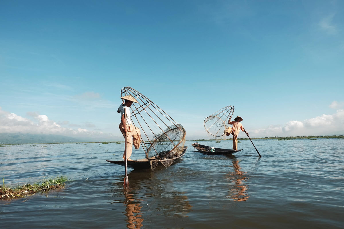 What are Thai Fisherman Pants?