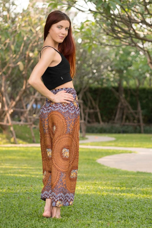 Brown Chang Pants